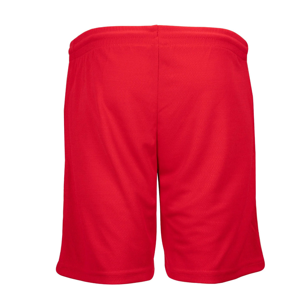 Li-Ning SOLID LN Shorts