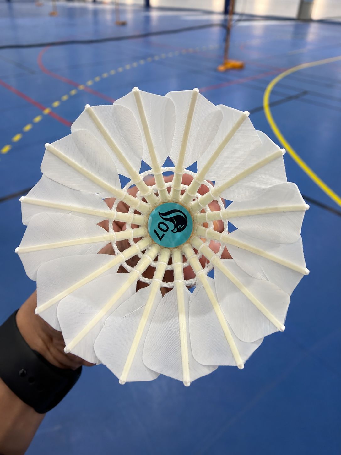 Falco AS-07 Badminton Goose Feather Shuttlecock