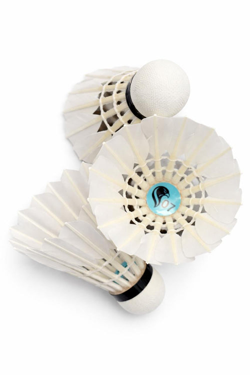 Falco AS-07 Badminton Goose Feather Shuttlecock