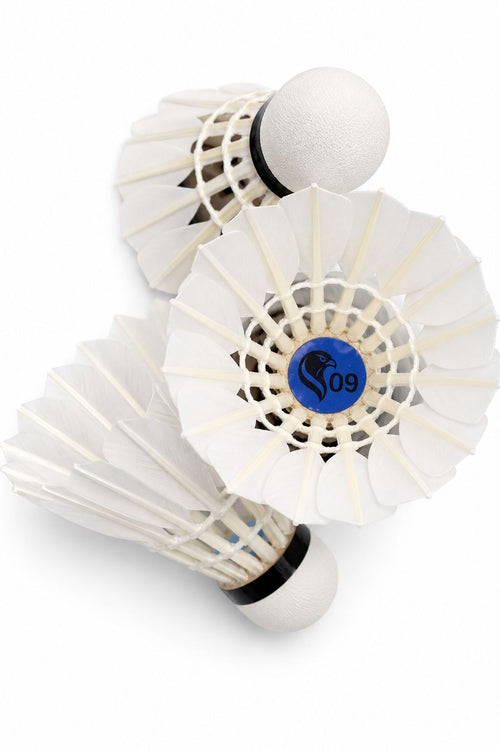 Falco AS-09 Badminton Goose Feather Shuttlecock